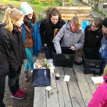 Wilma in der Wurmkiste: Workshop im Gartenbahnhof 3