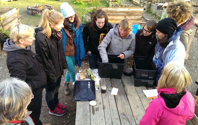 Wilma in der Wurmkiste: Workshop im Gartenbahnhof 3